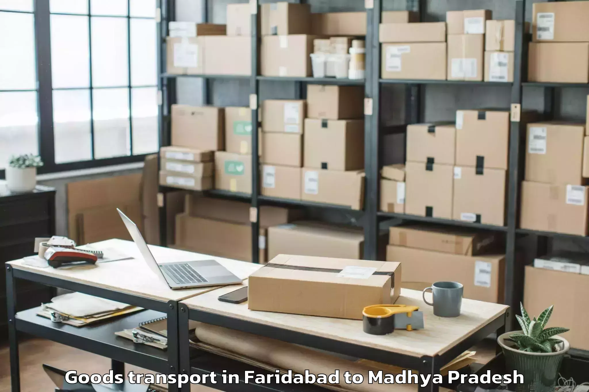 Easy Faridabad to Neemuch Goods Transport Booking